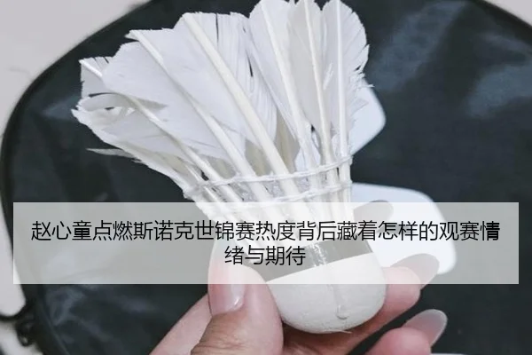 赵心童点燃斯诺克世锦赛热度背后藏着怎样的观赛情绪与期待 | kaiyun